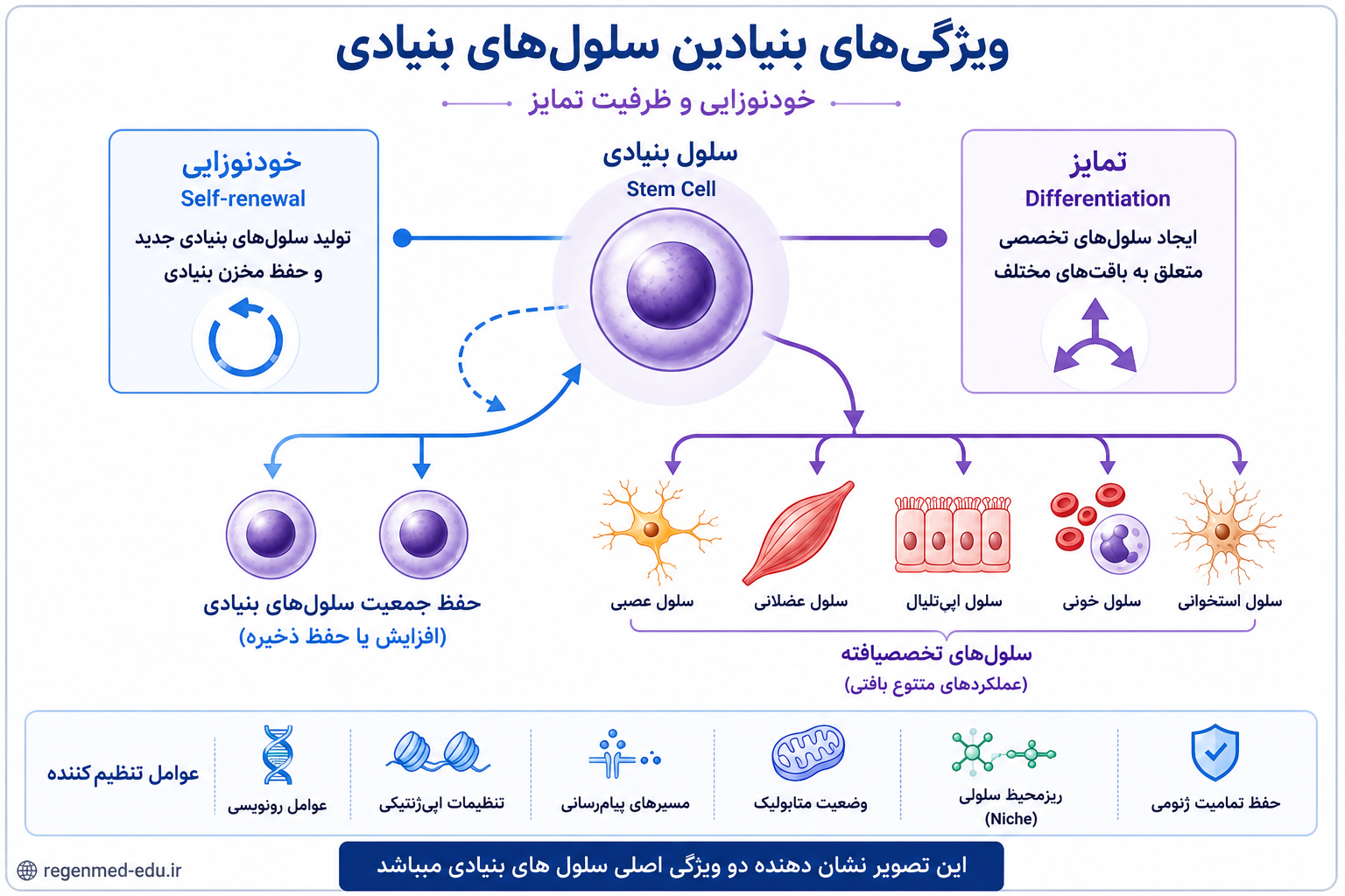 نمای کلی 