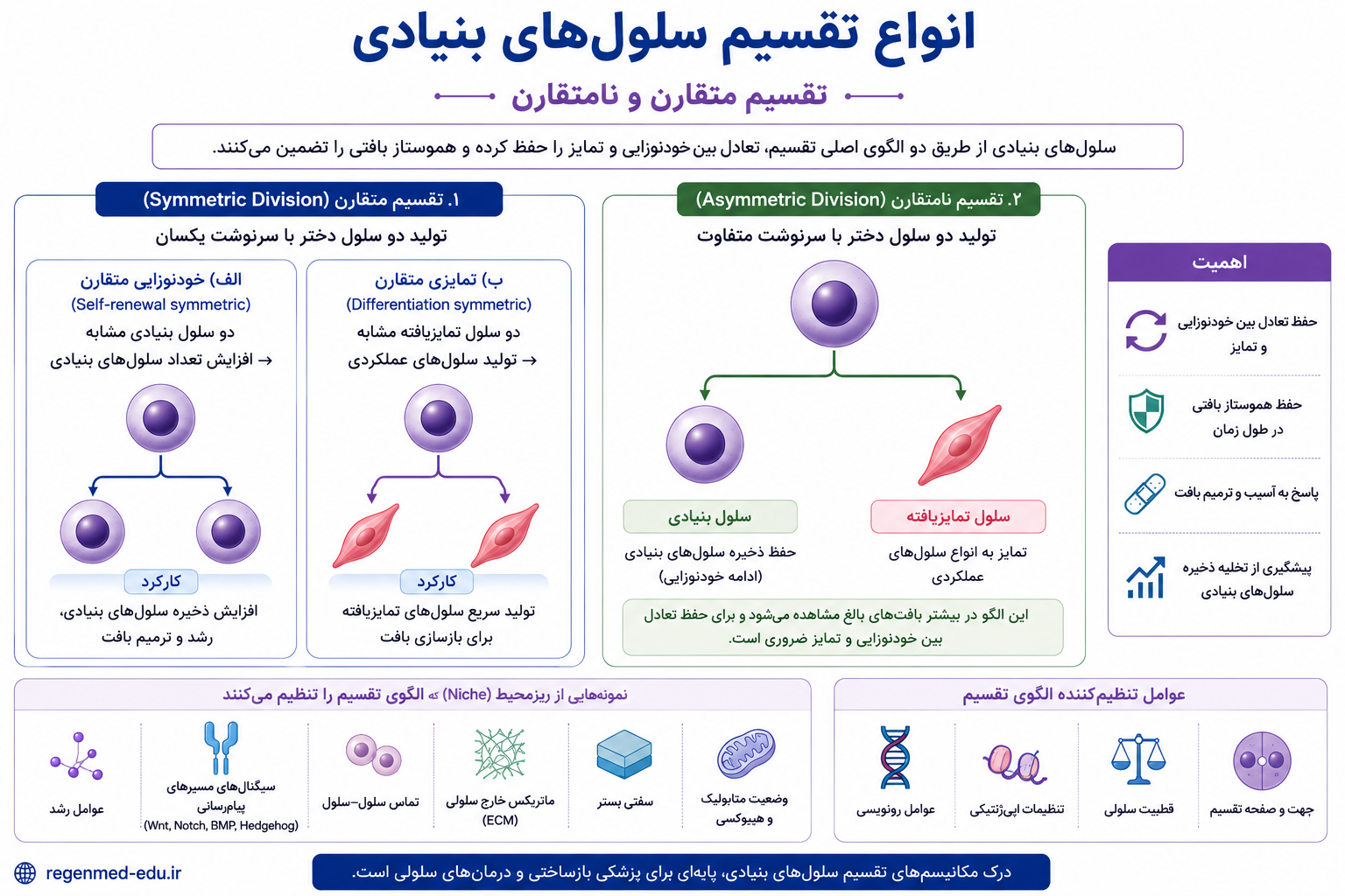 تقسیم 
