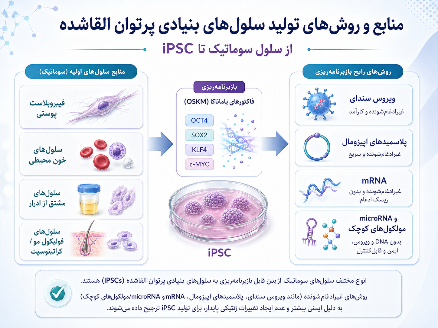 ipscss
